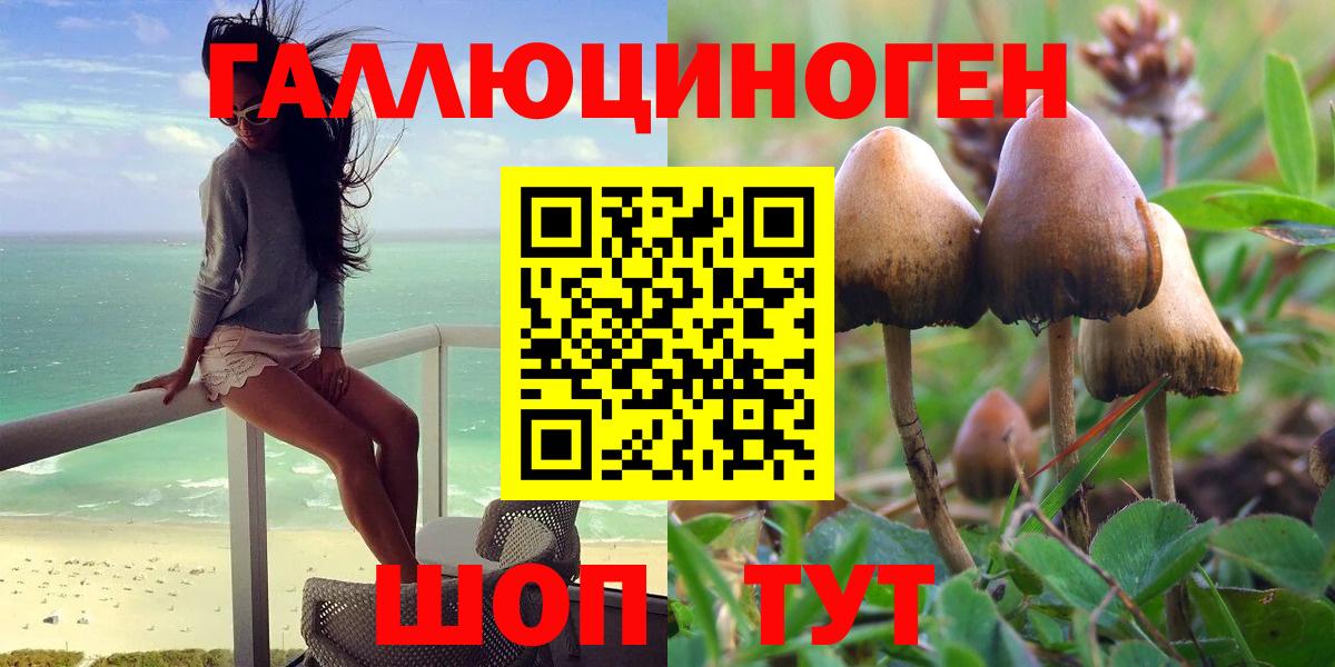 закладка  Вход с VPN  Галлюциногенные грибы Cubensis  Пятигорск  Псилоцибиновые грибы Magic Shrooms 